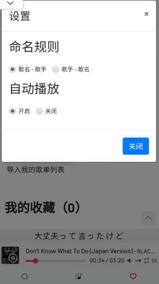 设置弹窗,包含命名规则与自动播放两个选项